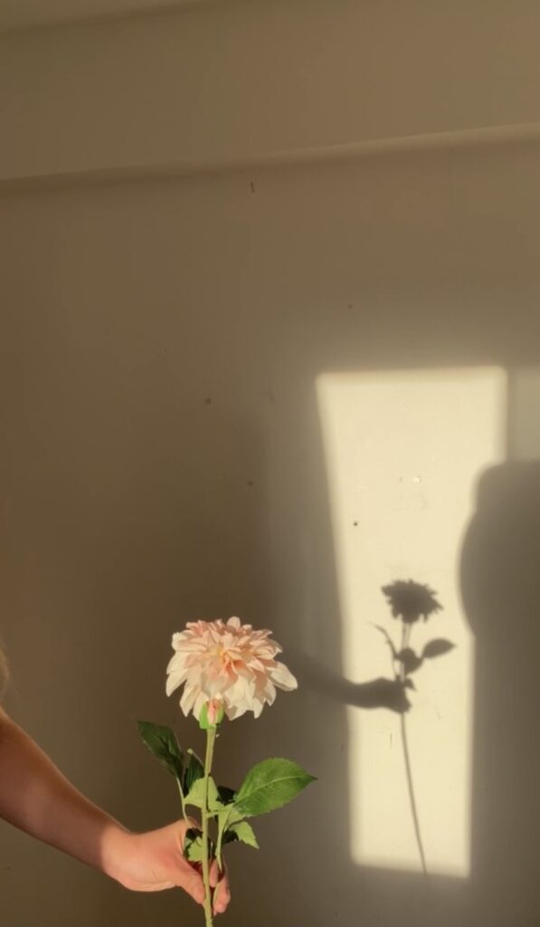 Icon LEap Anika Achtermann Bild 3