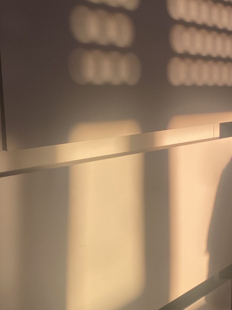 Icon Leap Anika Achtermann Bild 1 rotated 1